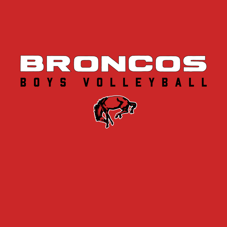 Barrington Boys Volleyball 2025